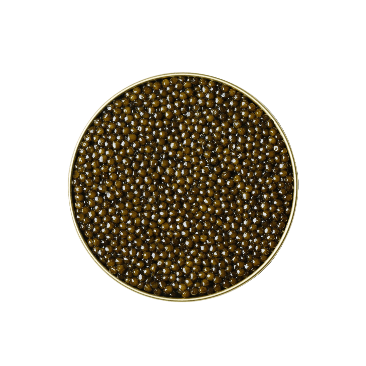 KHAVIYAR Royal-Grade Kaluga Hybrid caviar tin with the lid removed