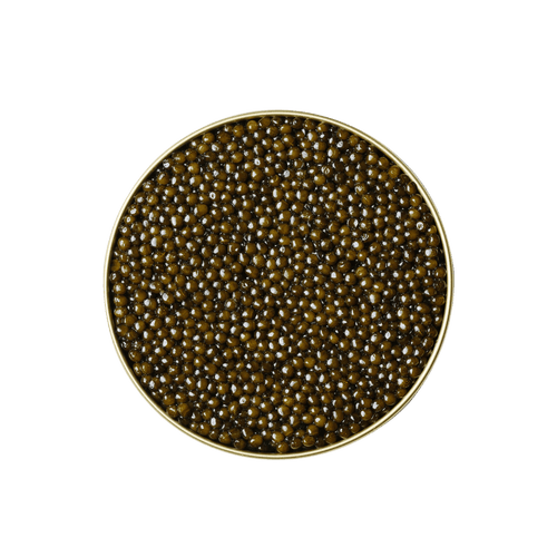 KHAVIYAR Royal-Grade Kaluga Hybrid caviar tin with the lid removed