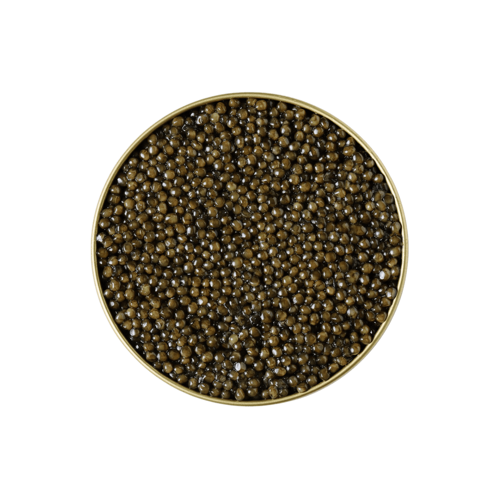 KHAVIYAR Royal-Grade Kaluga caviar tin with the lid removed