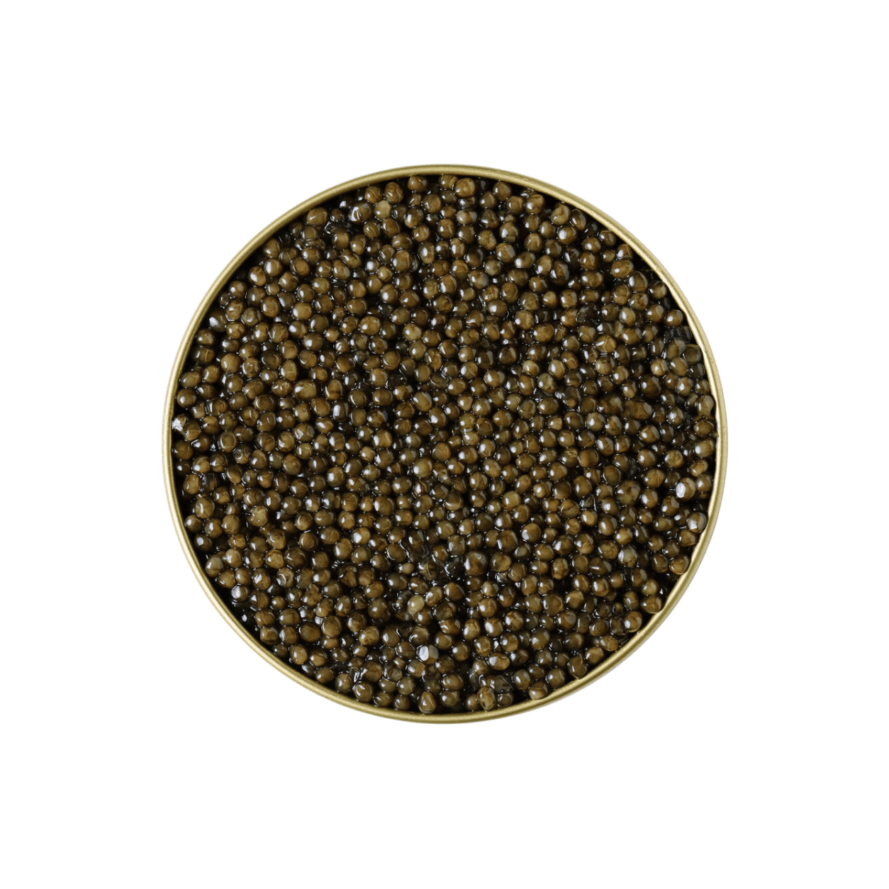 KHAVIYAR Royal-Grade Kaluga caviar tin with the lid removed