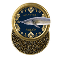 Open tin of KHAVIYAR Royal-Grade Kaluga caviar showing large glossy pearls