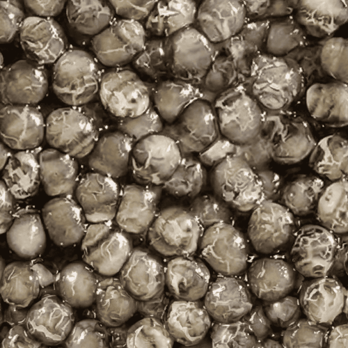 Beluga Caviar Australia | Special Reserve Tiger Beluga | KHAVIYAR